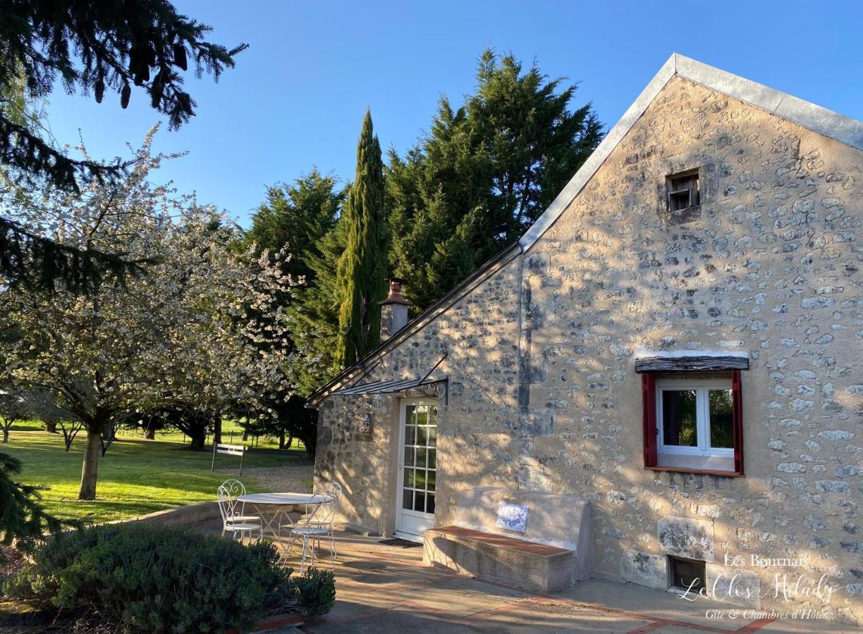 Chambres D'Hotes Les Bournais - Le Clos Milady L'Ile-Bouchard Εξωτερικό φωτογραφία