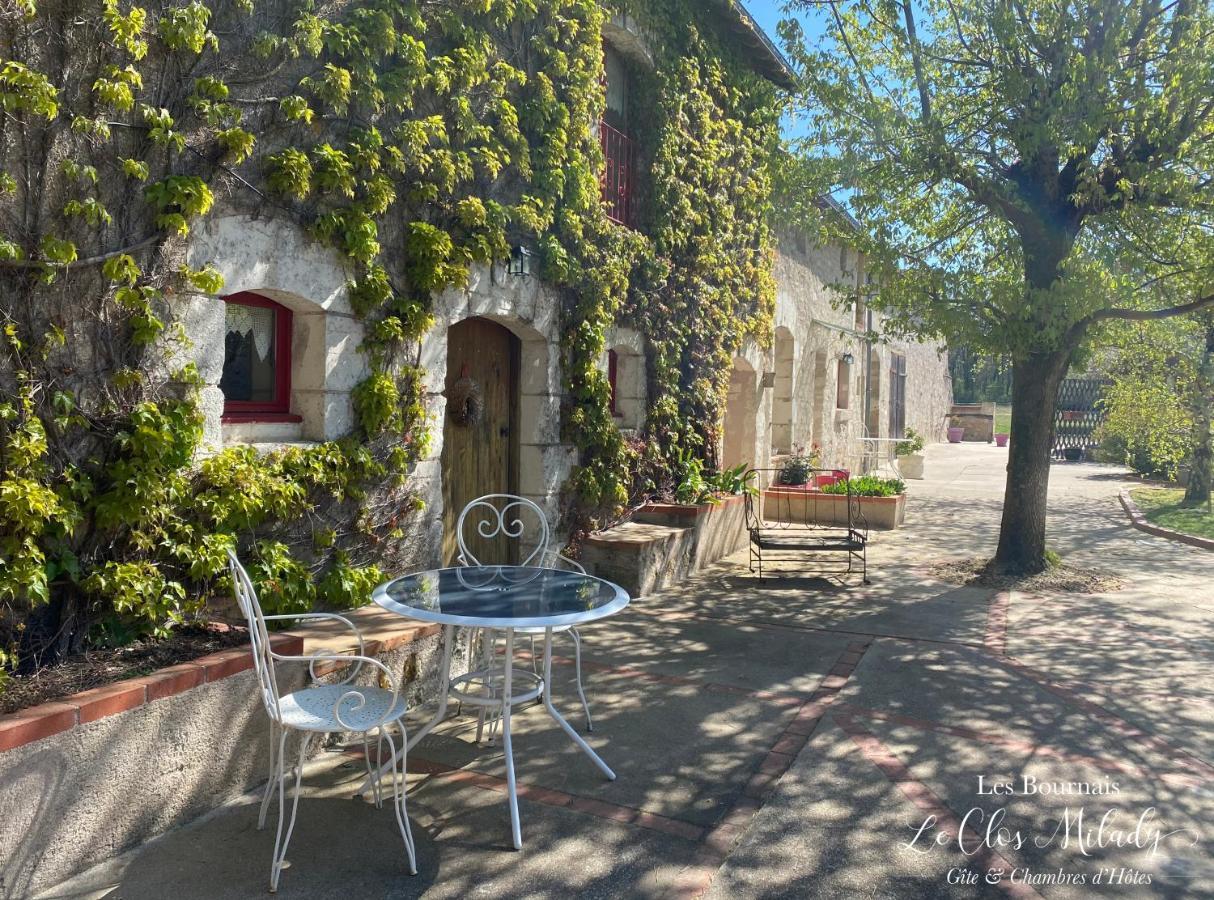 Chambres D'Hotes Les Bournais - Le Clos Milady L'Ile-Bouchard Εξωτερικό φωτογραφία