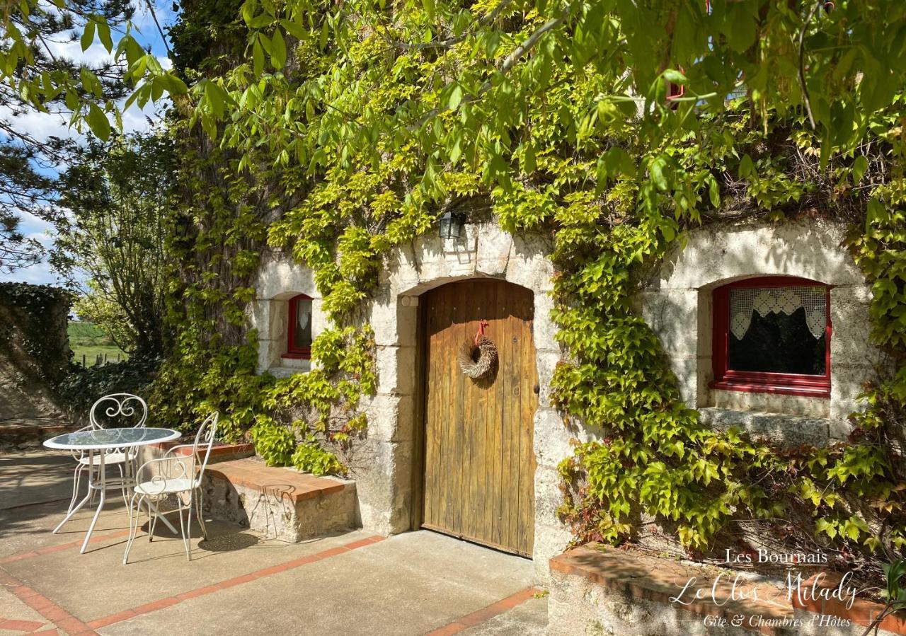 Chambres D'Hotes Les Bournais - Le Clos Milady L'Ile-Bouchard Εξωτερικό φωτογραφία