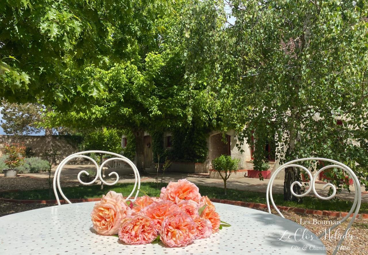 Chambres D'Hotes Les Bournais - Le Clos Milady L'Ile-Bouchard Εξωτερικό φωτογραφία