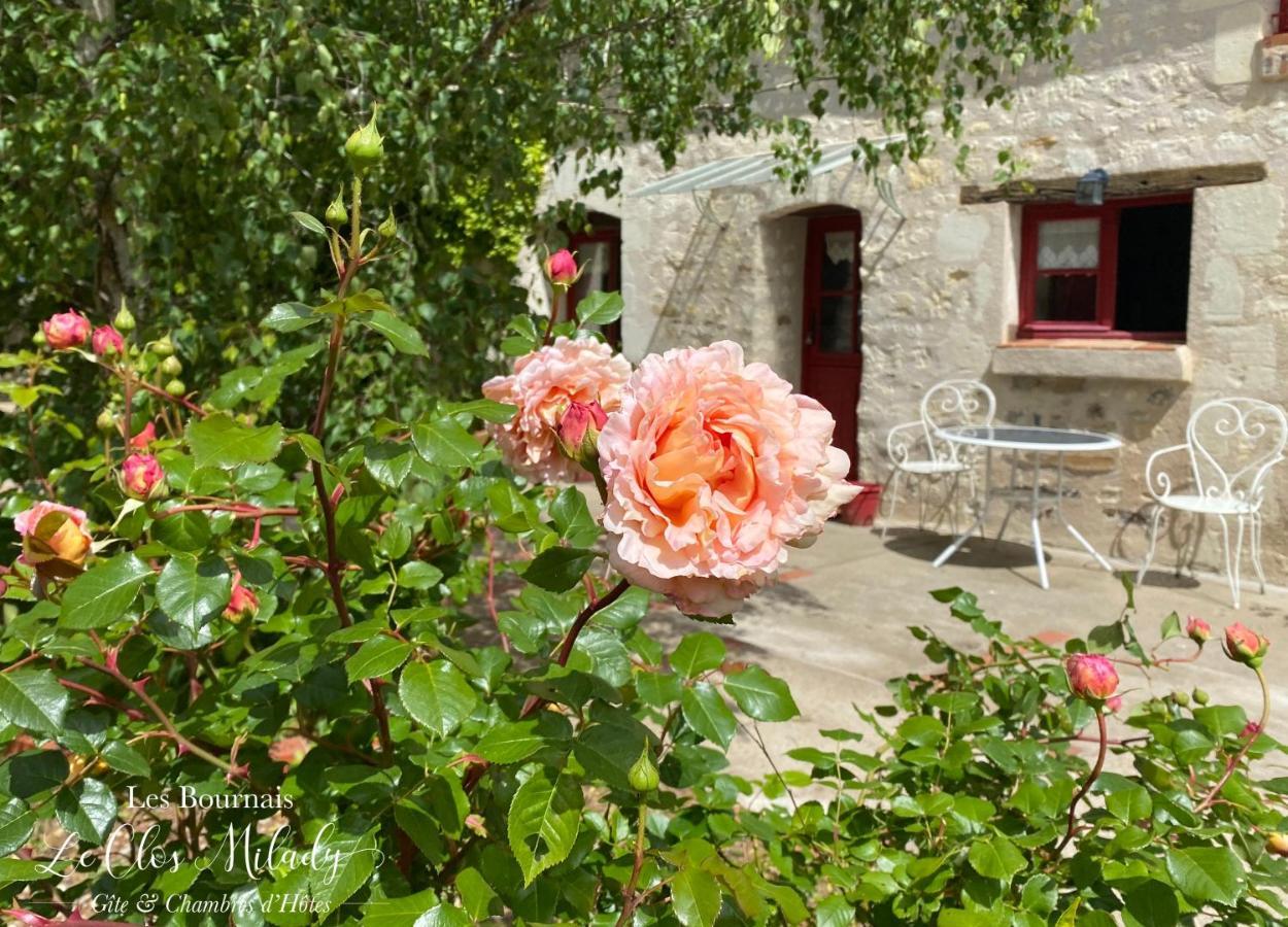 Chambres D'Hotes Les Bournais - Le Clos Milady L'Ile-Bouchard Εξωτερικό φωτογραφία