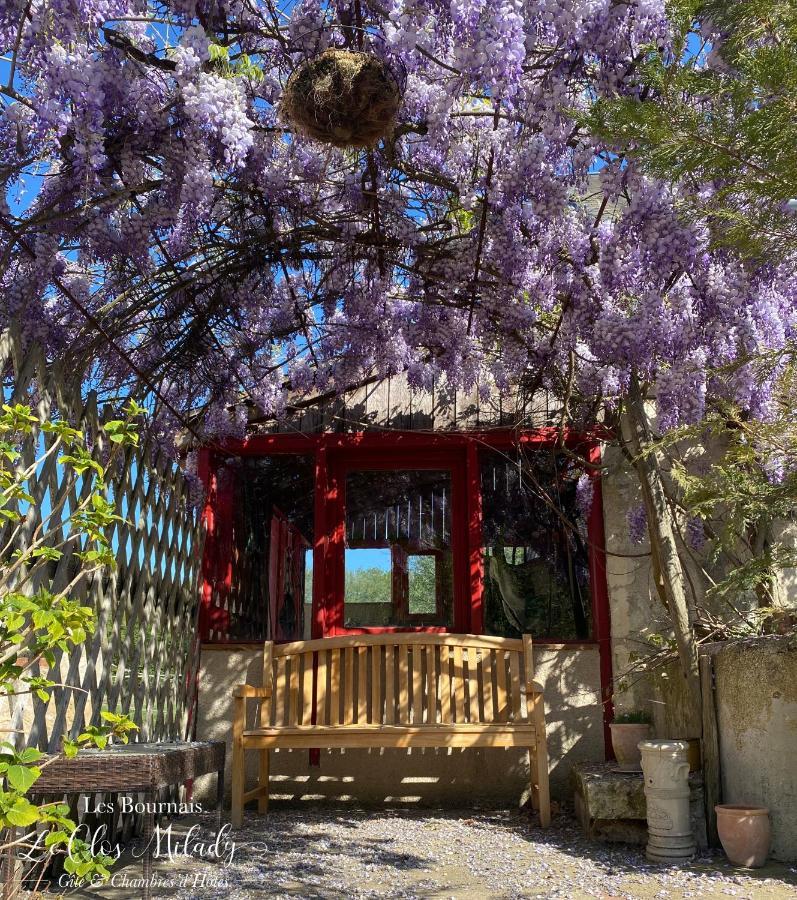 Chambres D'Hotes Les Bournais - Le Clos Milady L'Ile-Bouchard Εξωτερικό φωτογραφία