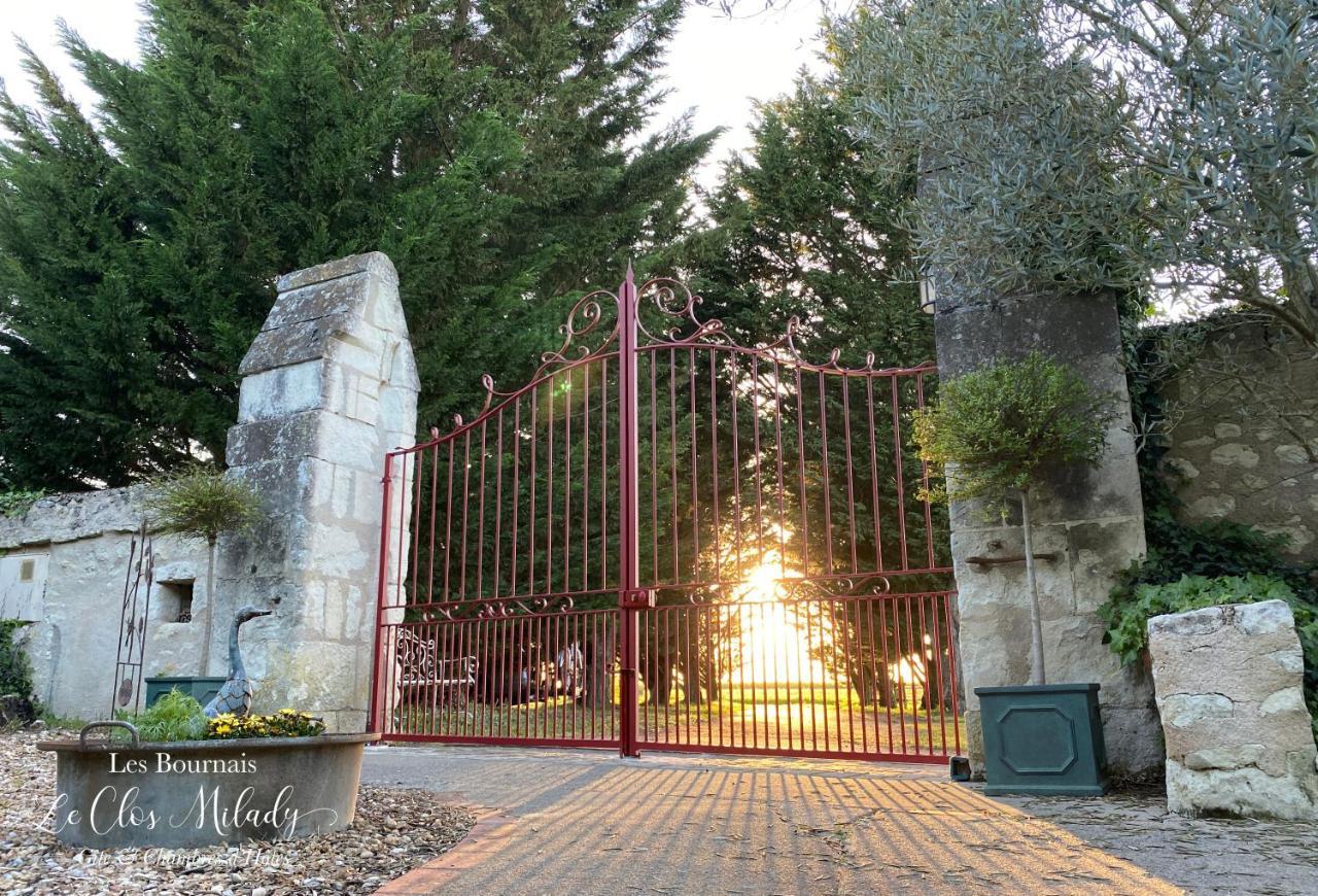 Chambres D'Hotes Les Bournais - Le Clos Milady L'Ile-Bouchard Εξωτερικό φωτογραφία