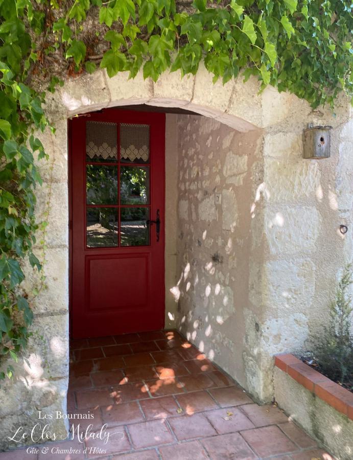 Chambres D'Hotes Les Bournais - Le Clos Milady L'Ile-Bouchard Εξωτερικό φωτογραφία