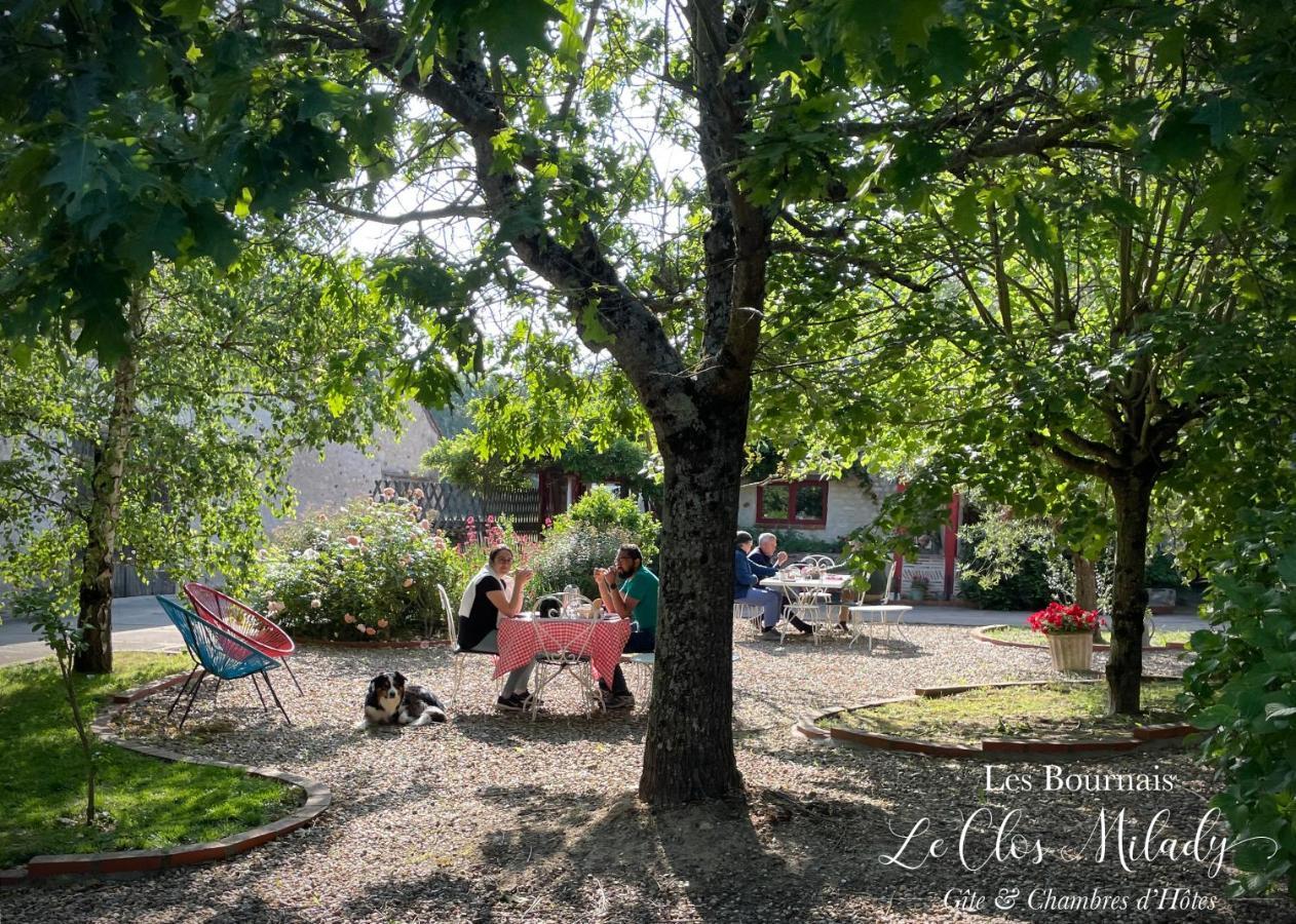 Chambres D'Hotes Les Bournais - Le Clos Milady L'Ile-Bouchard Εξωτερικό φωτογραφία