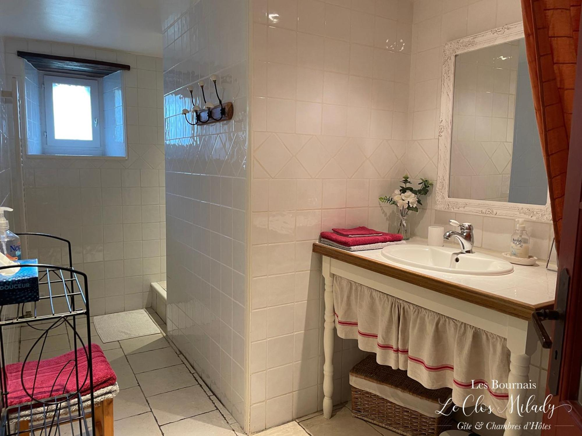 Chambres D'Hotes Les Bournais - Le Clos Milady L'Ile-Bouchard Εξωτερικό φωτογραφία